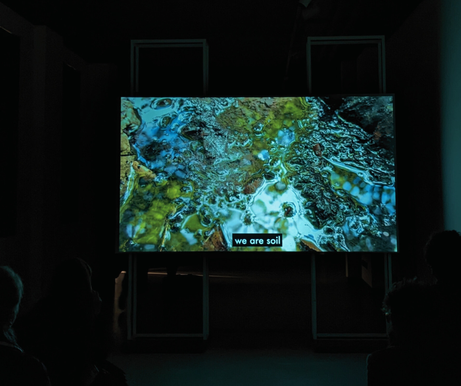 Wetlands video di Annalisa Zegna